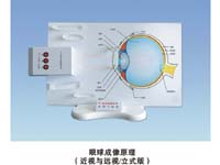 Eye imaging principle